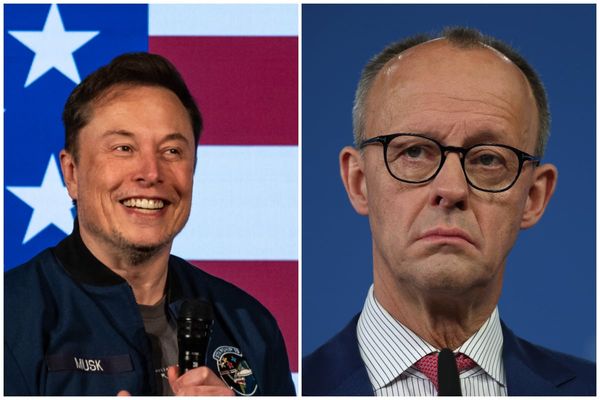 German politicians criticise Elon Musk for backing AfD ahead of election