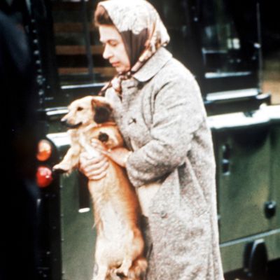 Queen Elizabeth's Iconic Behavior Included Ordering a Special Christmas Dinner for Her Corgis