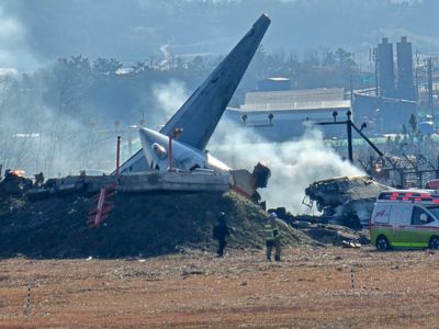 South Korea’s worst-ever plane crash highlights dangers of bird strikes