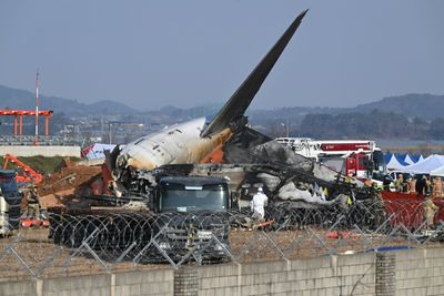 'Everyone Could Have Survived': Expert Blames Concrete Wall for South Korean Plane Crash Deaths