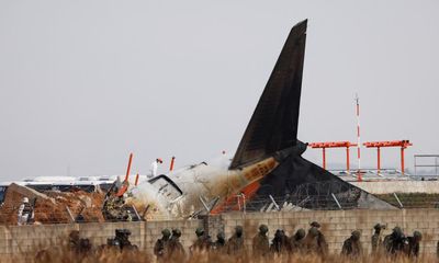 Bird strike unlikely to be sole cause of fatal South Korean plane crash, experts say