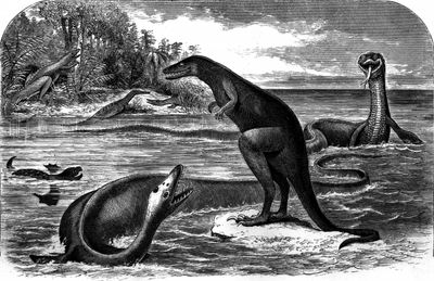 A sea monster with its head on its butt? 10 times we were completely wrong about dinosaur-age creatures