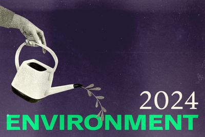 2024: The Year in Environment