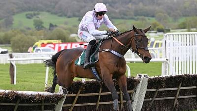 Relkeel Hurdle 2025 Runners and Trends For Cheltenham