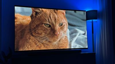 The TV tech to watch out for in 2025, from even brighter OLEDs to better LCDs