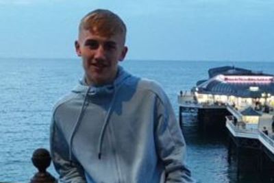 Teenager who died in stabbing is named as eighth arrest is made