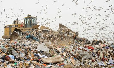 Essex county council sends 95% of non-recycled waste to landfill, data reveals