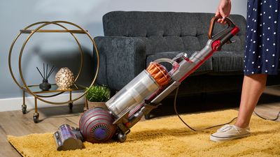 How to clean a Dyson Ball vacuum
