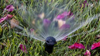 How to winterize a sprinkler system – 4 key steps recommended by irrigation experts