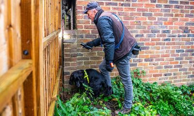 ‘I could work every day of the week’: the life of a UK pet detective as thefts rise