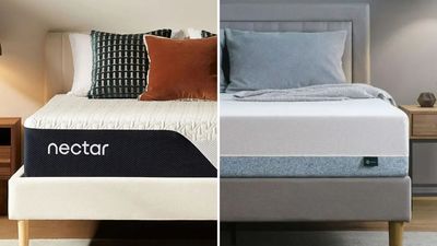 Nectar Classic vs Zinus Green Tea: Which budget memory foam mattress should you buy?