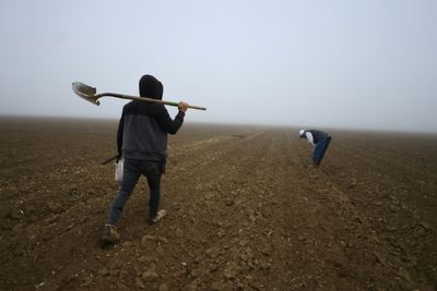 US Farmers Fret Over Trump's Deportation Plans