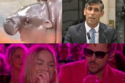 Watch the most memorable videos of 2024: From ‘soggy Sunak’ to ‘Moo Deng’ the hippo