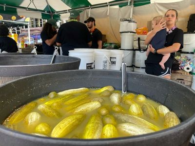 The dill of a lifetime? In a nation that’s enduring its own sour patch, the pickle dominated 2024