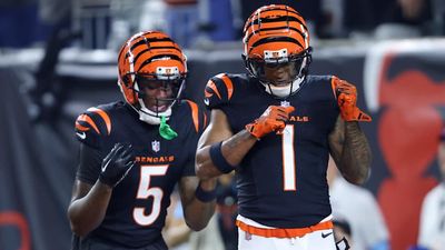 Zac Taylor, Joe Burrow Aligned on Tee Higgins’s Future With the Bengals