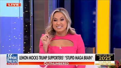 Fox News melts down over Don Lemon profanely mocking MAGA supporters: Is my mom ‘stupid?!’