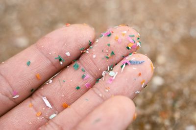 Microplastics in our organs could be tied to disease, Chinese researchers say