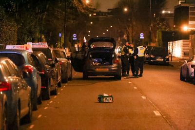 Primrose Hill: Two hurt and man arrested after car 'swerves into New Year revellers'