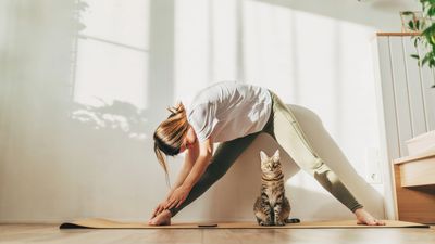 I usually hate yoga, but trying cat yoga changed my mind!