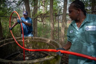 Infrastructure neglect and poverty lead to parasites in the Mississippi Delta