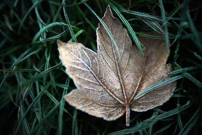 Ice warning for parts of UK as temperatures drop following floods