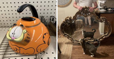 Thrifting Gold: 80 Unbelievable Finds That Might Make You Want To Hit The Stores