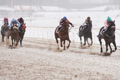 Lingfield and Musselburgh To Hold Inspections For Friday Cards