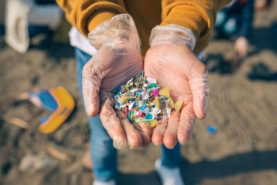 Microplastics linked to organ lesions