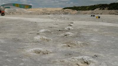 Britain's biggest-ever dinosaur footprint tracks discovered in Oxfordshire