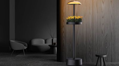 LG’s latest smart lamp grows indoor plants and sets the mood – but you might not get one