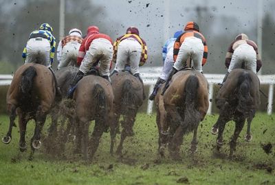 Horse Racing Trends For ITV Racing at Sandown (4th Jan 25)