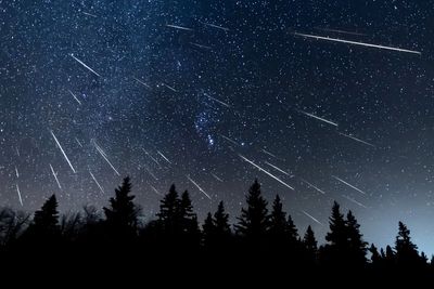 Quadrantids 2025: When and where to watch 2025’s first meteor shower in UK