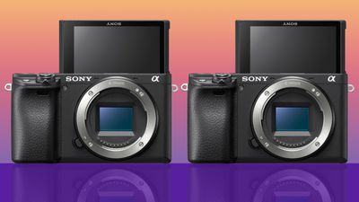 Sony stealth-launches two new mirrorless APS-C cameras