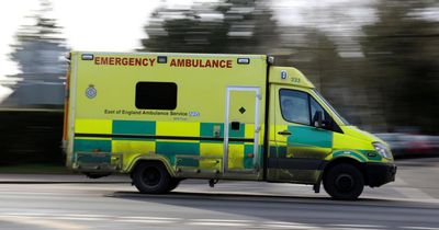 Three people hospitalised following incident on New Year's day