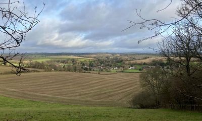 Country diary: Hoofing up the hill to a bluebell wood