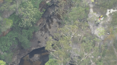 Man Dies After Falling Off Cliff In Ku-ring-gai Chase National Park