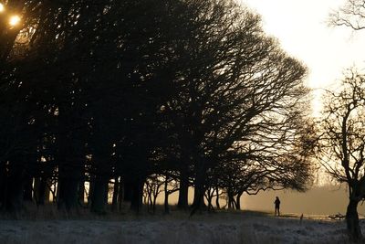 Several snow and ice alerts issued as cold snap hits Ireland this weekend