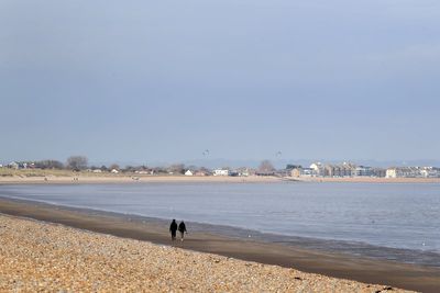 Artist faces backlash over plan to build seaside home covered in doodles