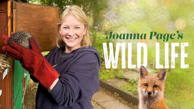 Joanna Page’s Wild Life: release date, episodes, exclusive interview and everything we know