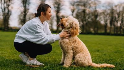 Trainer reveals how to work with your reactive dog to set them up for success