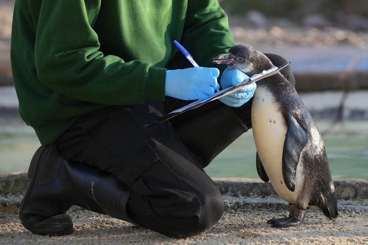 London Zoo's Residents Are Counted In Their Annual…