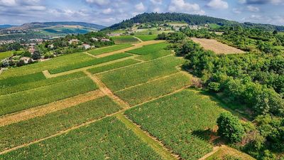 French farmland tainted by widespread microplastic pollution, study finds