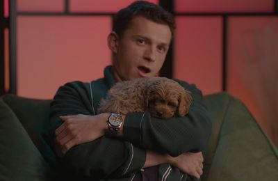 'I'm really spontaneous': Tom Holland bought a puppy without asking Zendaya