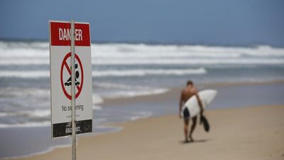 Halt surfing amid shark boom, victim's friend says