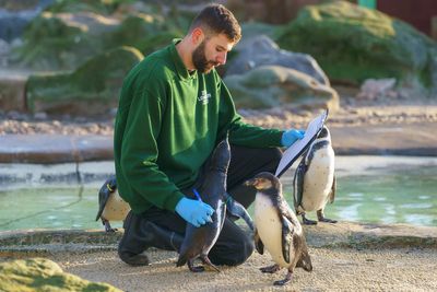 London Zoo begins annual stock take with over 10,000 animals to count