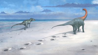 Weird bumps in UK quarry turn out to be 166 million-year-old dinosaur 'highway' for some of Jurassic's biggest dinosaurs