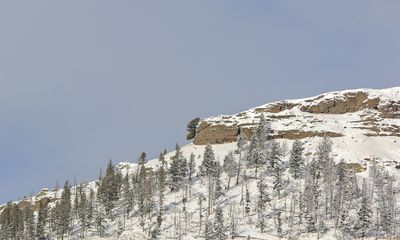 Can you spot the ‘moose head’ amid the snow in Yellowstone?