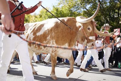 Texas mascot Bevo will be on the sidelines for the Cotton Bowl because nobody wants beef