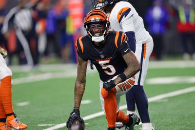 Tee Higgins comments on future with Bengals ahead of season finale