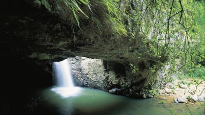 Suspected human bones found in popular national park